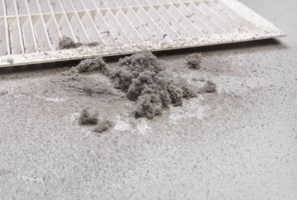 Best Air Duct Cleaning Cost  in Badieville, LA