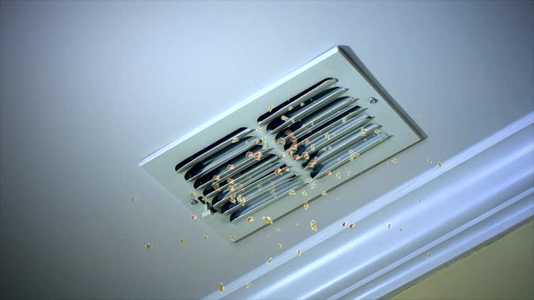 Best Ductwork Cleaning Services  in Badieville, LA