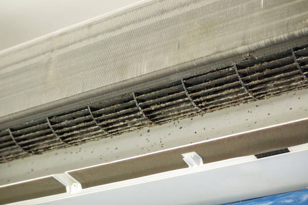 Best Affordable Air Duct Cleaning  in Badieville, LA